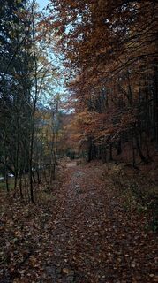 Fotografia z Márti na trase