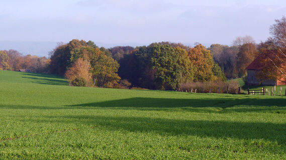 poi-0_titelbild_sudbachtal_gruenland01.JPG