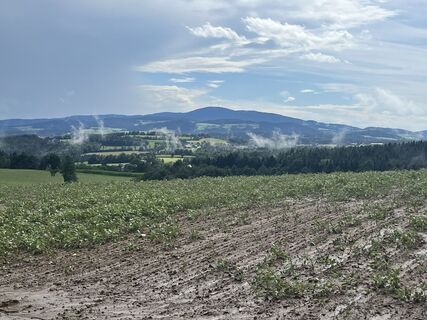 Fotografie z Monika Mekic na trase