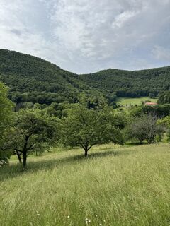 Foto von Alexander Micheli entlang der Tour