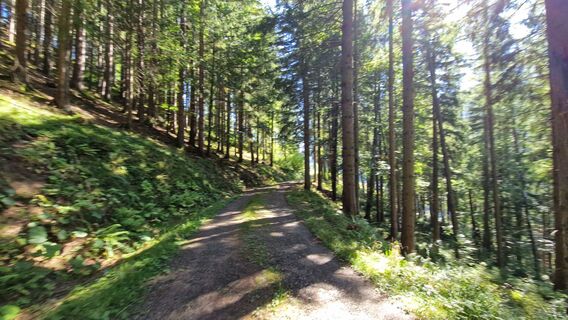 Photo de EP87 le long du parcours