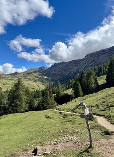 Foto von Irene Duitshof entlang der Tour