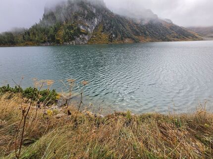 Photo de MRDL le long du parcours