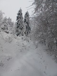 Fotografia z Daniel Kremiec na trase