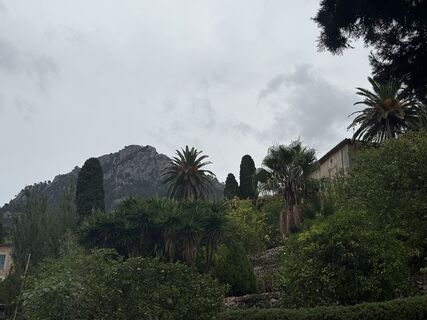 Foto de martinpronk a lo largo del recorrido