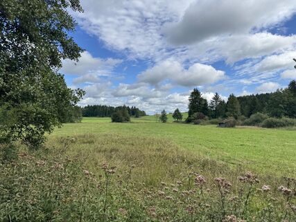 Foto da Denise Miller lungo il tour