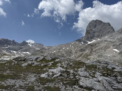 Foto da Grizzli lungo il tour
