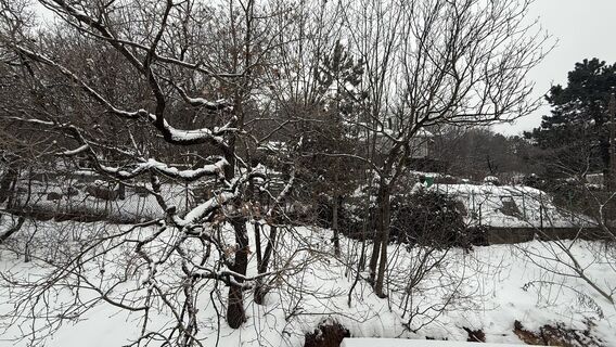 Foto de Balázs Lengyel 1 a lo largo del recorrido