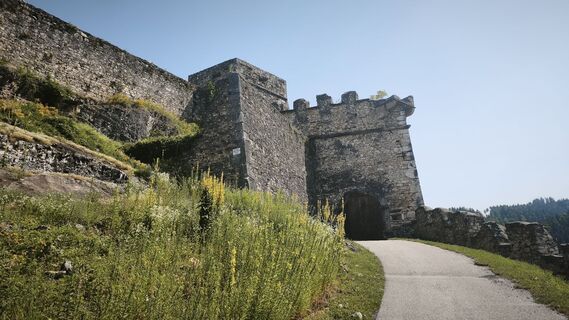 Foto von Priska Ebner entlang der Tour