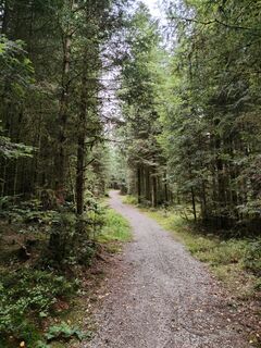 Gleich nach dem Ferienpark geht es in den Wald