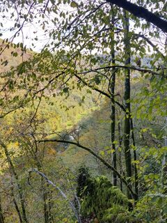 Foto de Rene De Ruyter a lo largo del recorrido