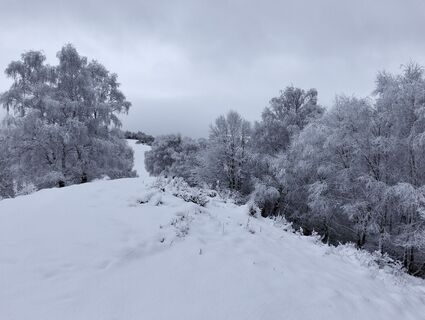 Foto de Daniele Berini a lo largo del recorrido