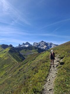 Fotografija s spletne strani friso wolthuizen na poti