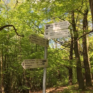 Rundwanderung Weserliedanlage