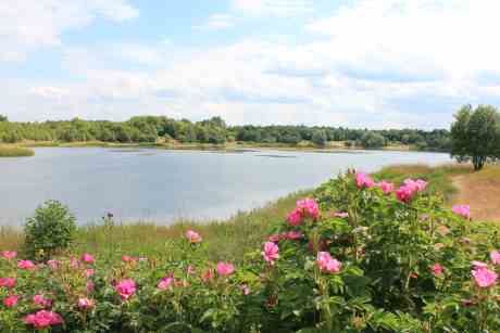 Oldenstädter See