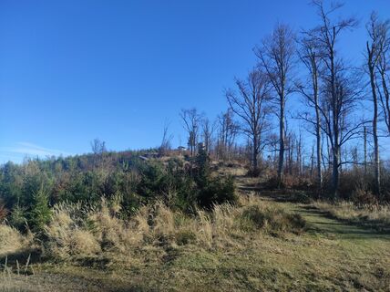 Foto von Làszló Visi entlang der Tour