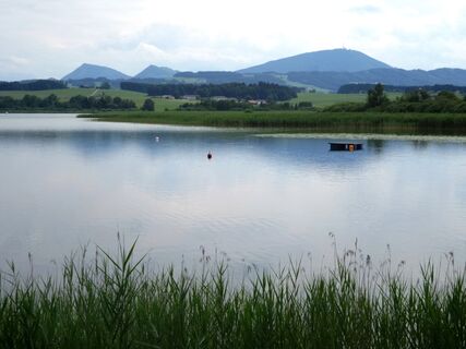 Wallersee in Seekirchen-Fischtaging