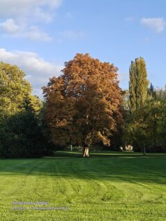 Foto von Nadja Kremer entlang der Tour