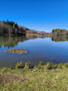 Foto von Sherpa 960 entlang der Tour