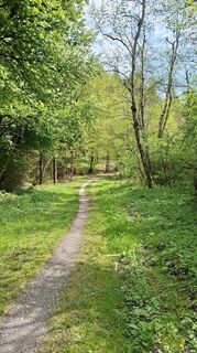 Foto de Mangolein a lo largo del recorrido