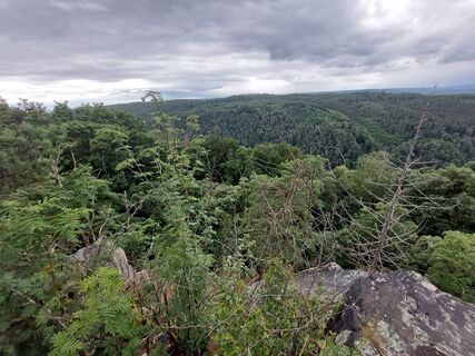 Fotografija s spletne strani Maren Auer na poti