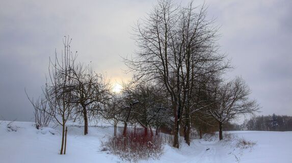Winterlandschaft rund um Diedelsheim