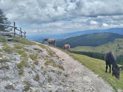Fotografie z Georg na trase