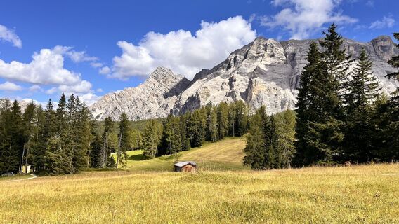 Fotografija s spletne strani Stefano Misuraca na poti