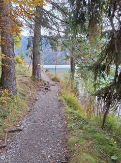 Foto von Dagmar Hofer entlang der Tour