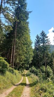Foto von Regina Felber-Stossier entlang der Tour