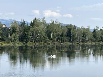 Foto von Gerhard Lilek entlang der Tour