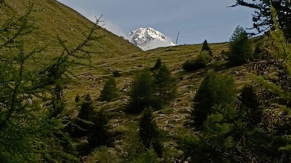 Foto von Maurizio Dell'acqua entlang der Tour