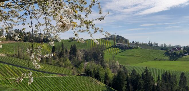 Foto från rupert51 under resans gång