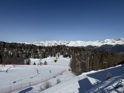 Fotografija s spletne strani Martien Blaauboer na poti