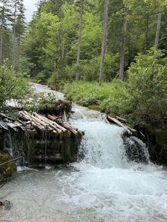 Fotografija s spletne strani Babs Holz na poti