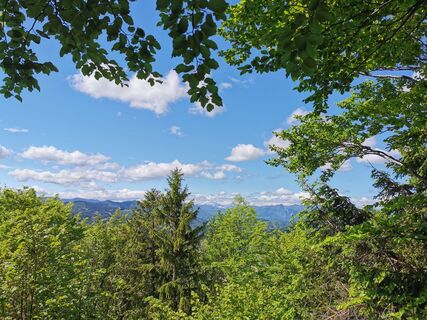Fotografie z Irmgard Mader na trase