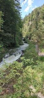 Photo de grassler le long du parcours