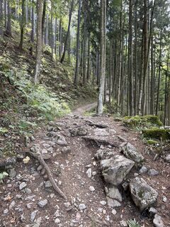Photo de Flo le long du parcours