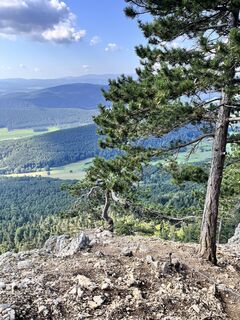 Photo de Marlies Berwein le long du parcours