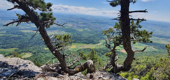 Fotografie z Jean Manuel Popescu na trase