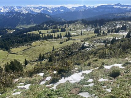 Fotografia z Daniel Herz na trase