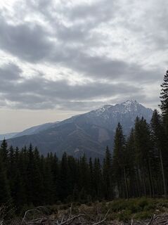 Fotografia z Mandy Friedrich na trase