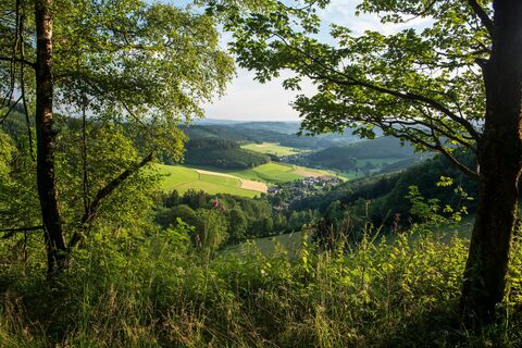 Aussicht am goldenen Zapfen in Siegerland