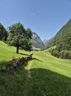 Fotografie z alinradu na trase