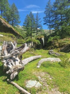 Photo de Irmi♧ le long du parcours