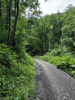 Foto från FranzCarl under resans gång