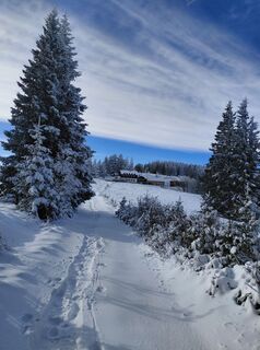 Fotografia z Hubert Schwaighofer na trase