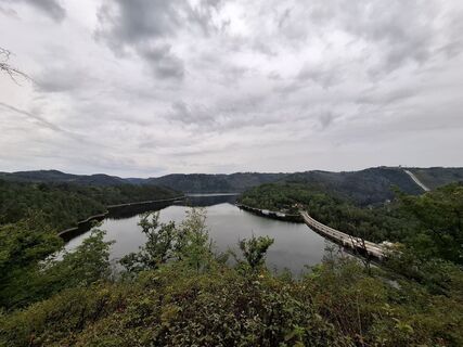 Fotografija s spletne strani Wollomator na poti