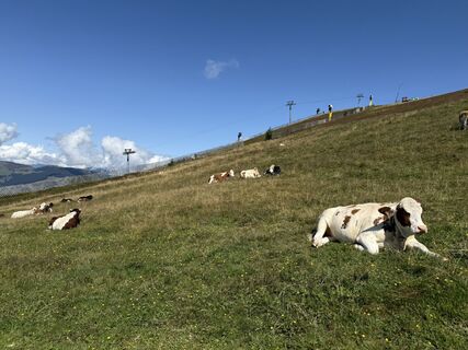 Photo from Daniella De Wolde along the tour