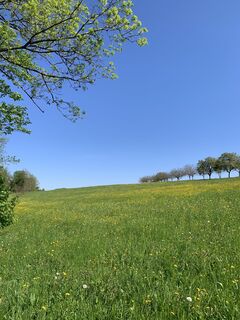 Foto von Franco Nicastro 1 entlang der Tour